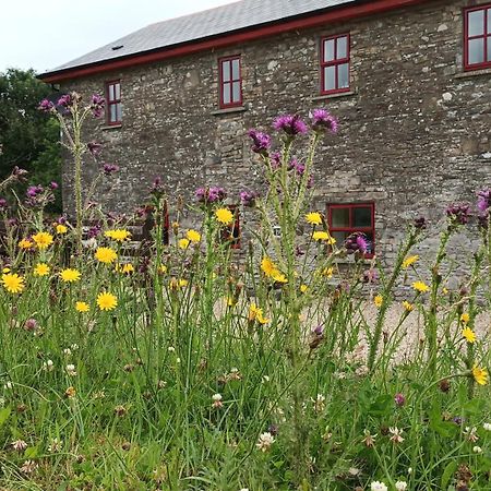 Vila The Old Mill, Kilcorkey, Bellanagare, Castlerea, County Roscommon - West Of Ireland -House 1 Exteriér fotografie