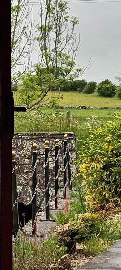 Vila The Old Mill, Kilcorkey, Bellanagare, Castlerea, County Roscommon - West Of Ireland -House 1 Exteriér fotografie