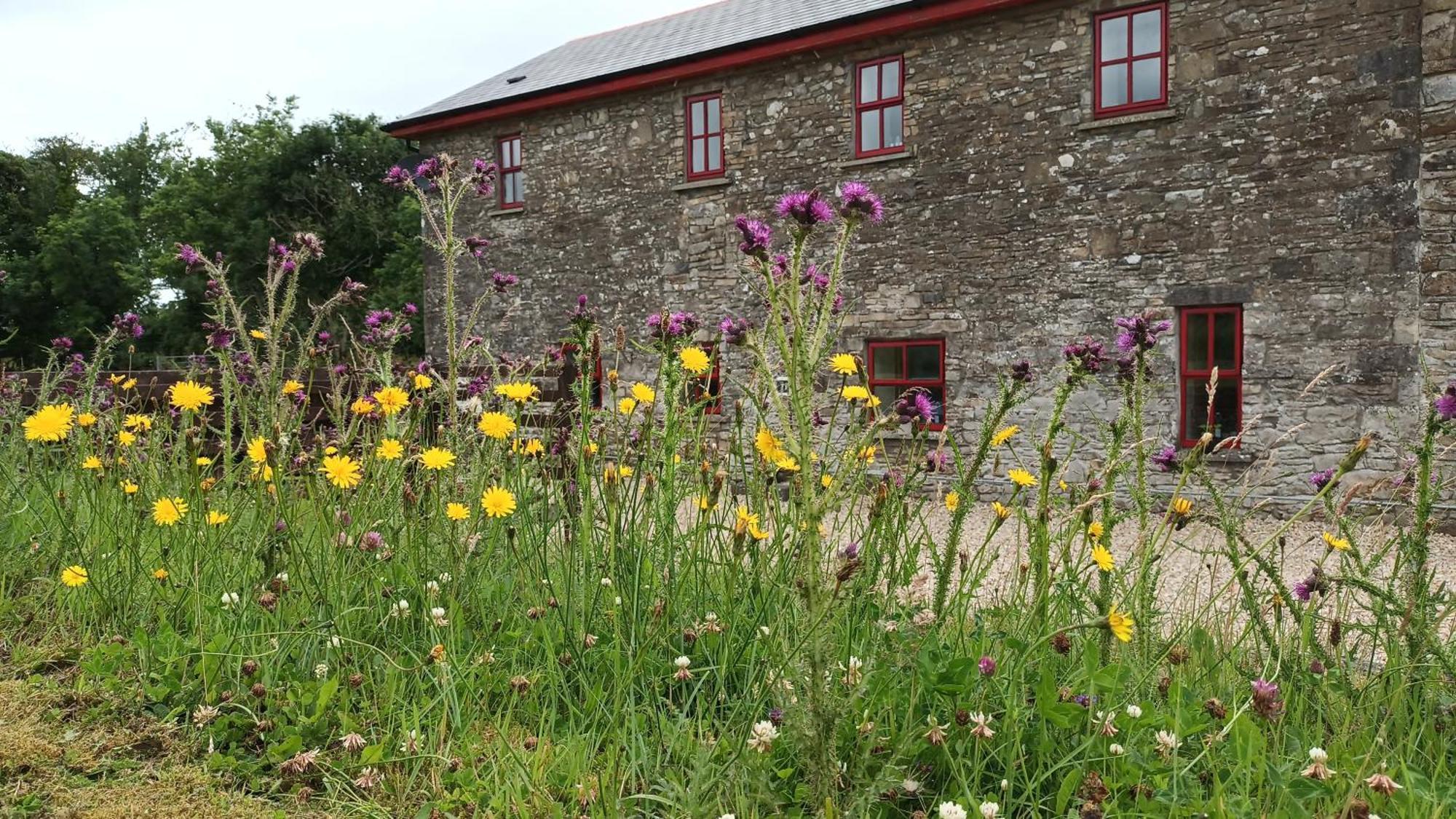 Vila The Old Mill, Kilcorkey, Bellanagare, Castlerea, County Roscommon - West Of Ireland -House 1 Exteriér fotografie